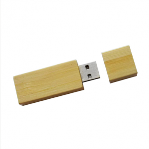 Pen Drive Ecológico de Madeira Quadradinho – GIPECC