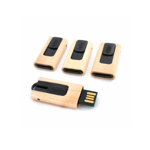 Pen Drive Ecológico Retrátil – GIPECL